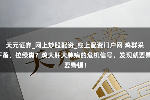 天元证券_网上炒股配资_线上配资门户网 鸡群采食下落、拉绿粪？鸡大肝大脾病的危机信号，发现就要警惕！