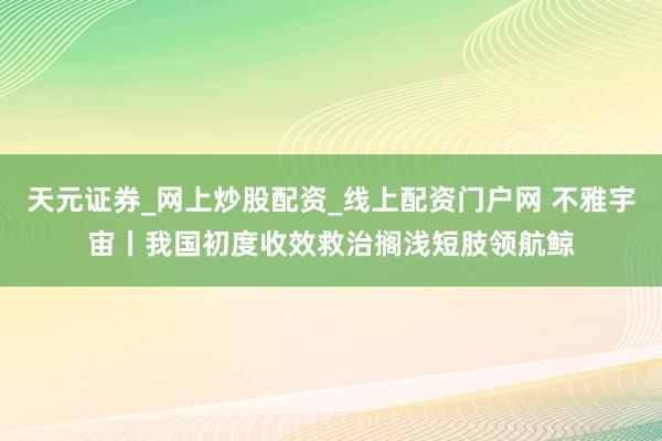 天元证券_网上炒股配资_线上配资门户网 不雅宇宙丨我国初度收效救治搁浅短肢领航鲸